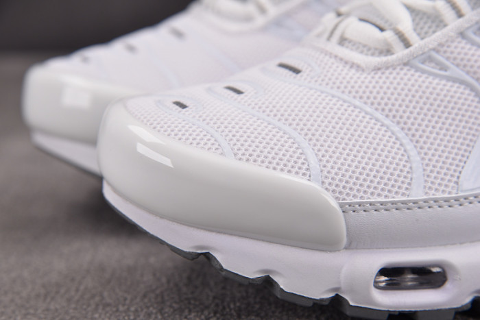 Nike Air Max Plus 