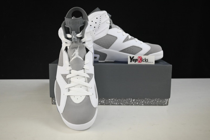 air jordan 6 “cool grey” ct8529-100