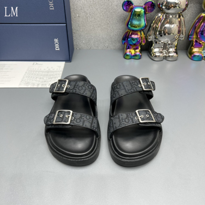 D*0r Slides D0316