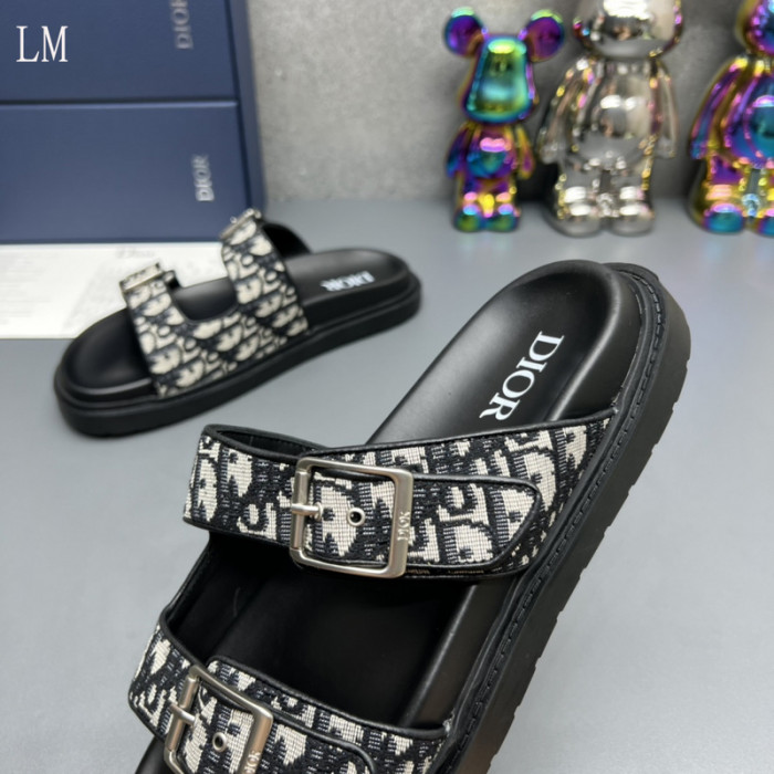 D*0r Slides D0317