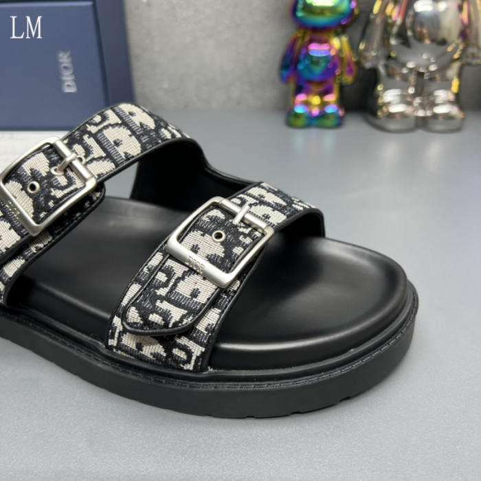 D*0r Slides D0317