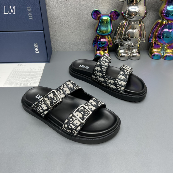 D*0r Slides D0317