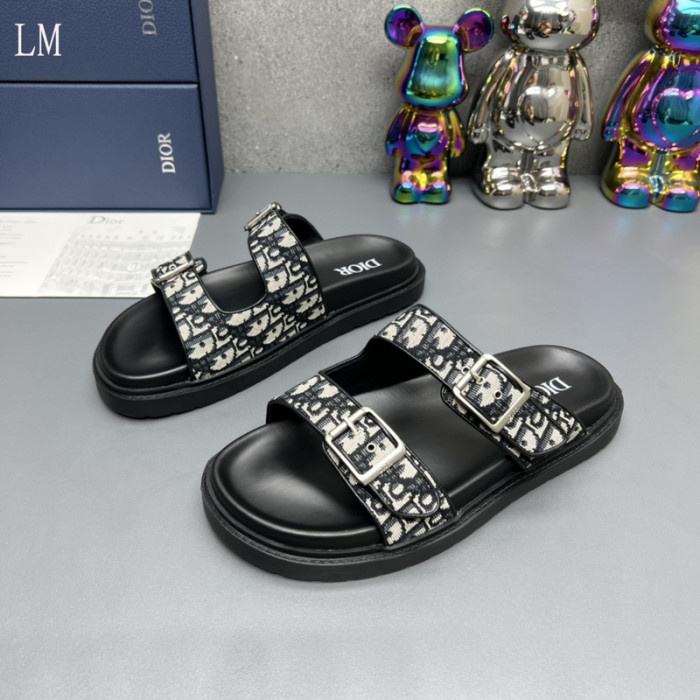 D*0r Slides D0317
