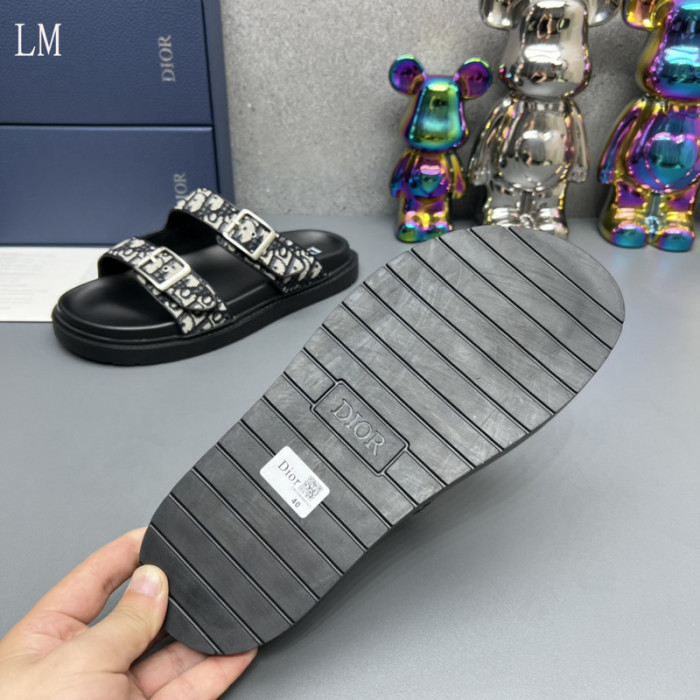 D*0r Slides D0317