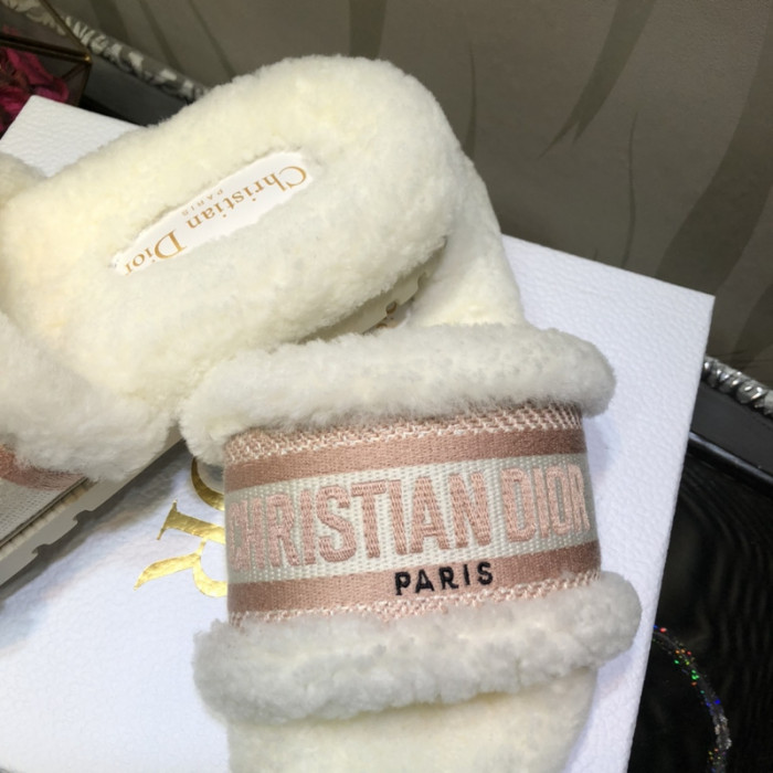 D*or slides d0220