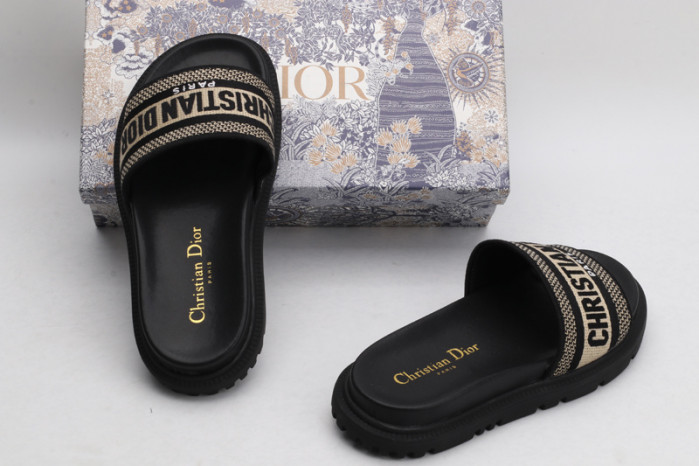 D*or slides g6577