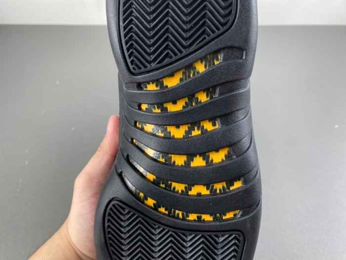 Air Jordan 12 Retro 