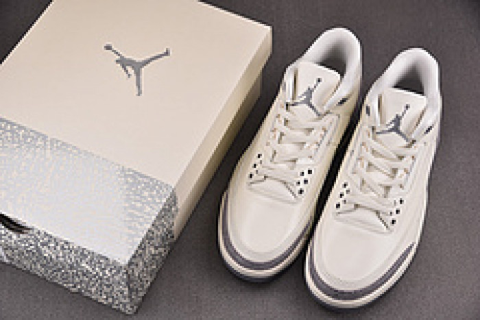 Air Jordan 3 "Pure Money" 2025 CT8532-111