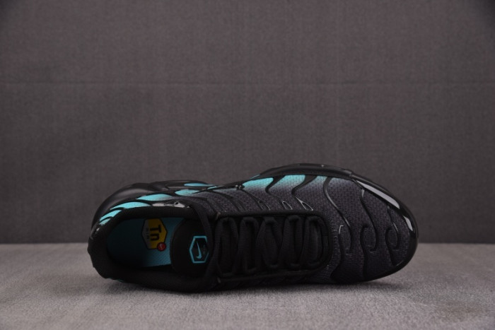 Nike Air Max Plus Black Aurora Green DM0032-016