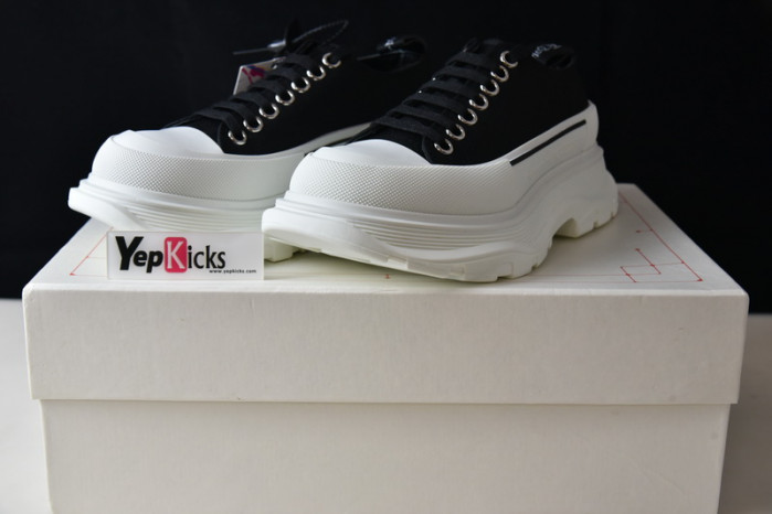 alexander mcqueen e2543