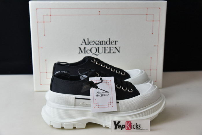 alexander mcqueen e2543