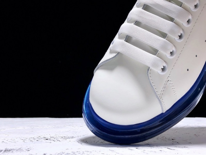 alexander mcqueen e2524