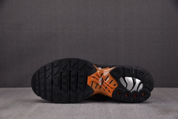 Nike Air Max Plus Dark Obsidian Monarch FN6949-400