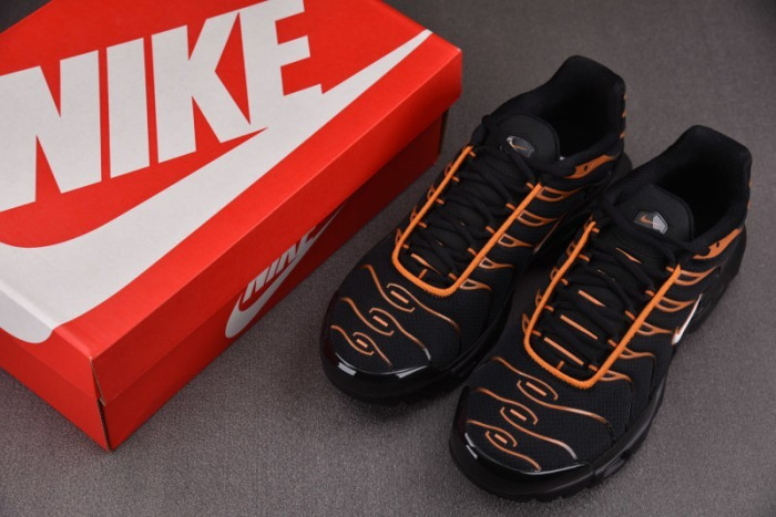 Nike Air Max Plus Dark Obsidian Monarch FN6949-400