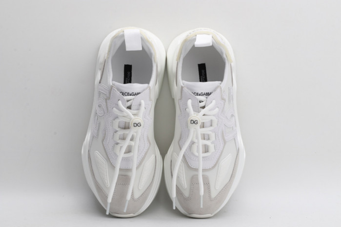 d&g sneakaer d008
