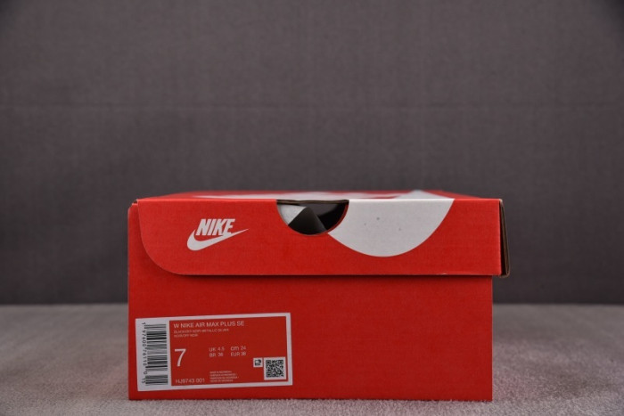 Nike Air Max Plus SE "Black & Metallic Silver" | HJ9743-001