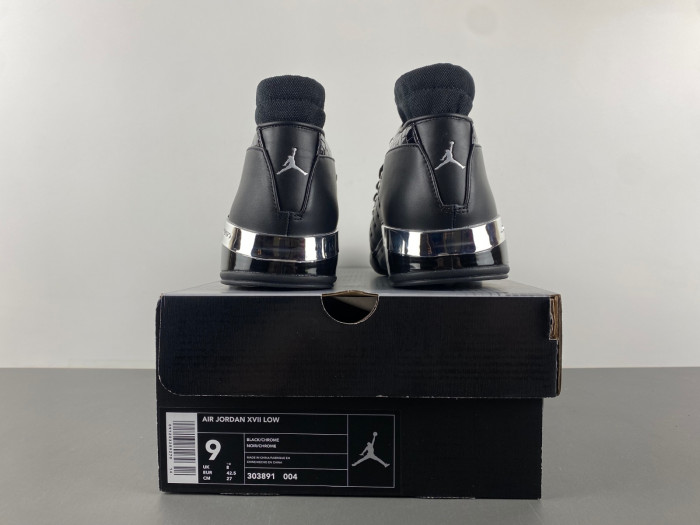 Air Jordan 17 Low 303891-004