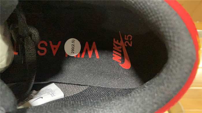 nike sb dunk low 309242-307