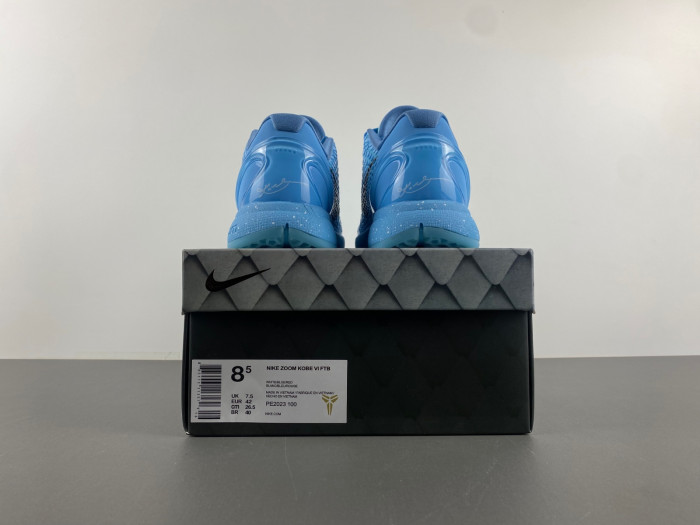 Nike Kobe 6 PE2023-100