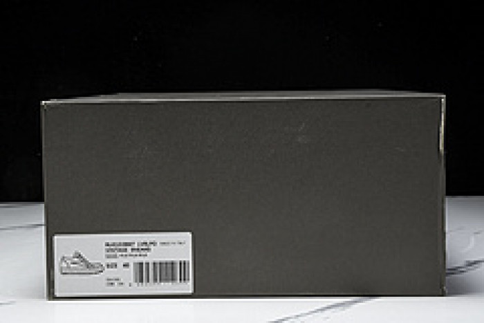 RICK OWENS SNEAKER