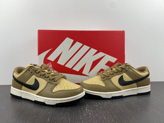 nike dunk low dark driftwood dd1503-200