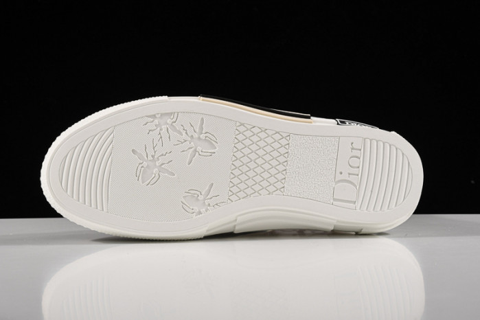 D*0r B23 OBLIQUE HIGH TOP SNEAKER 3SH118YNT