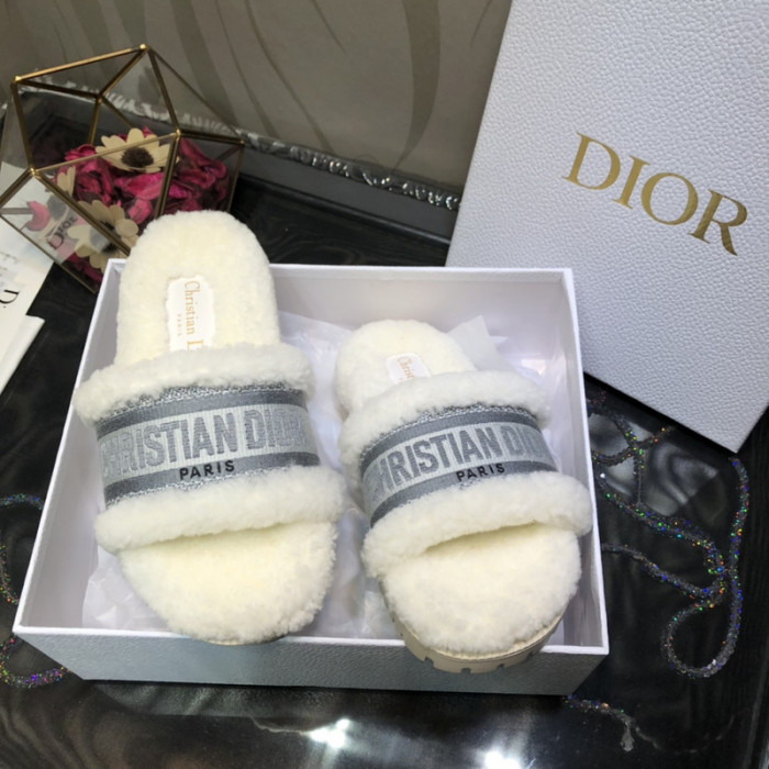 D*or slides d0219
