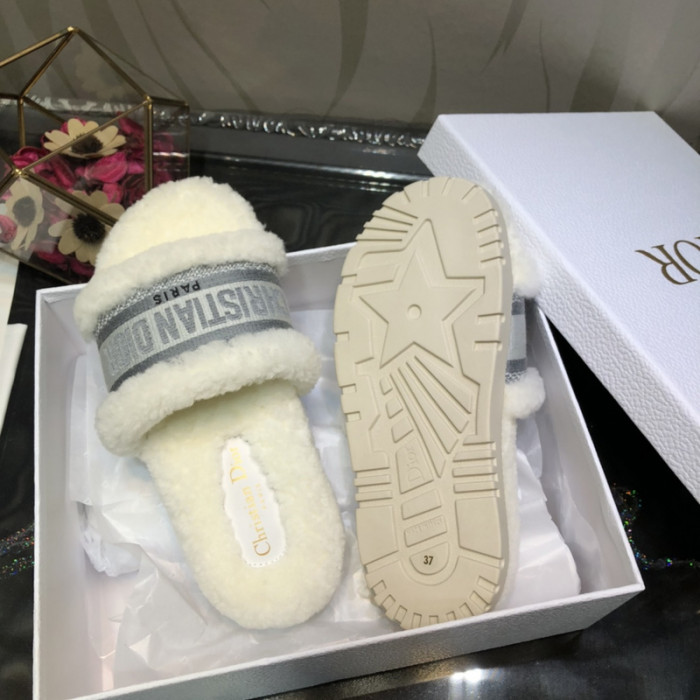 D*or slides d0219