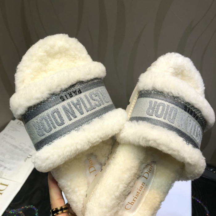 D*or slides d0219