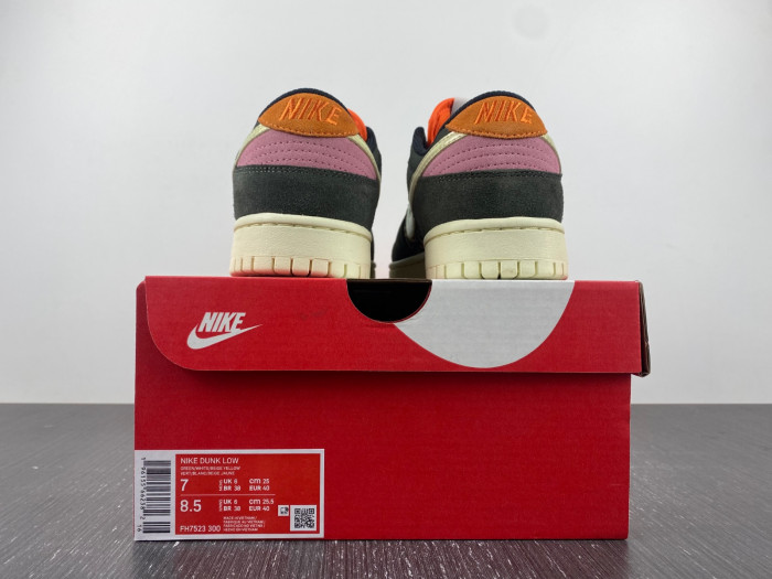 nike dunk low rainbow trout fn7523-300