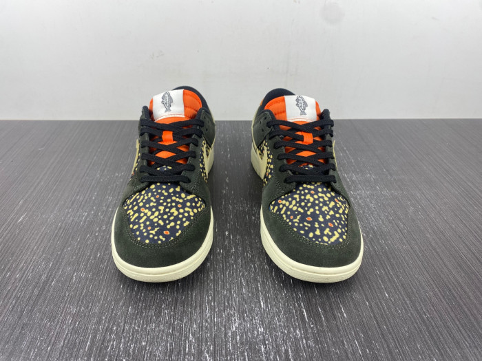 nike dunk low rainbow trout fn7523-300