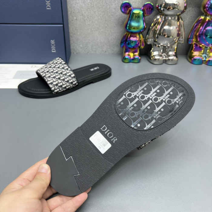 D*or slides d0305