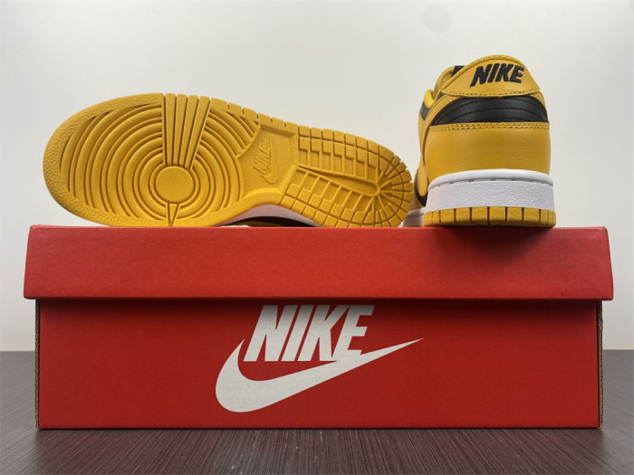 nike dunk low goldenrod dd1391-004